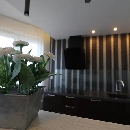 Galerius Golden Apartment Siofok